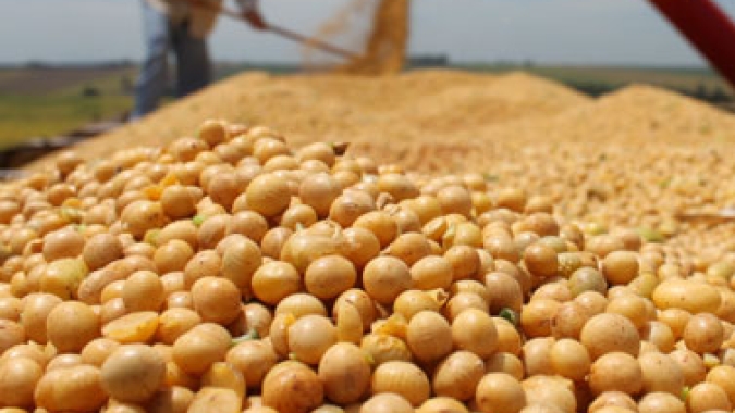 Abertura Nacional da Colheita da Soja em Mato Grosso acontece na próxima semana