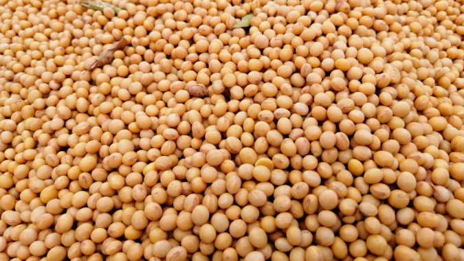 Mercado em Chicago deve focar no clima para o milho americano e no ritmo da demanda chinesa para a soja no Brasil e nos EUA