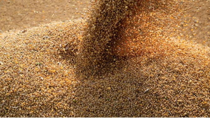 Colheita de soja atinge 56,4% da área na Argentina; 34,5% do milho foi colhido