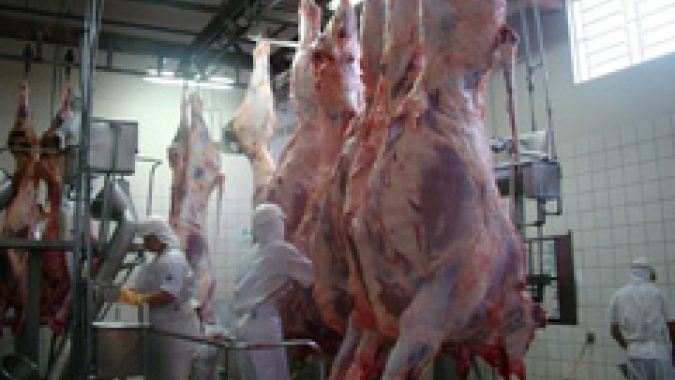 Tailândia, Irã e Jordânia suspendem compras de carne bovina do Brasil após "vaca louca"