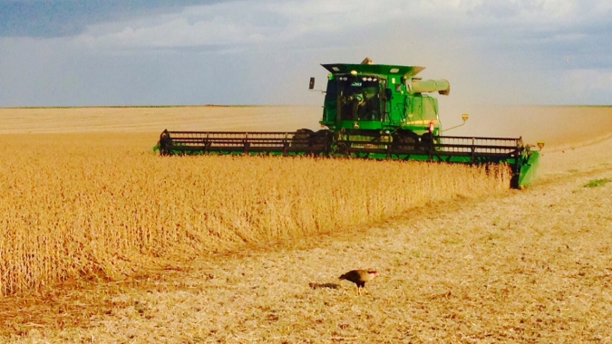 O futuro da agroindústria é tema de debate nesta quarta-feira