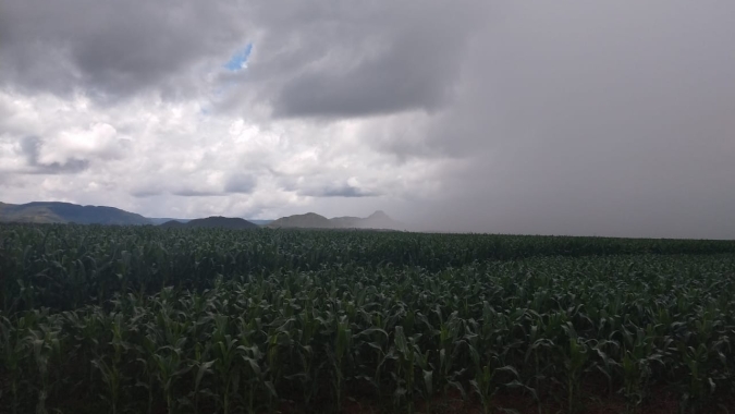 Com produtividade em 50 sacas, colheita da soja em TO está paralisada desde sábado devido às chuvas