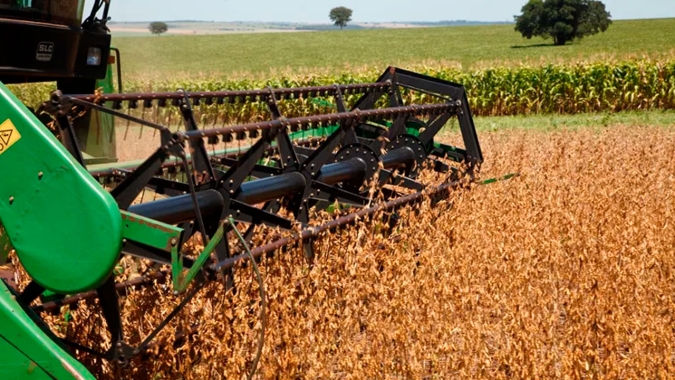 Goiás começa a colher a soja e espera aumentar produção em 5%; janela da safrinha está curta