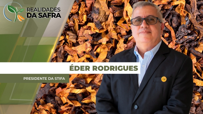 Safra 25/26 de tabaco deve ter boa produção no Sul do Brasil