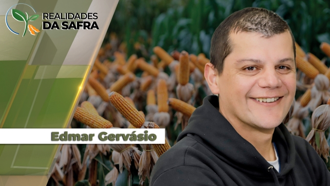 Deral indica queda próxima aos 20% na produtividade da 2ª safra de milho no Paraná