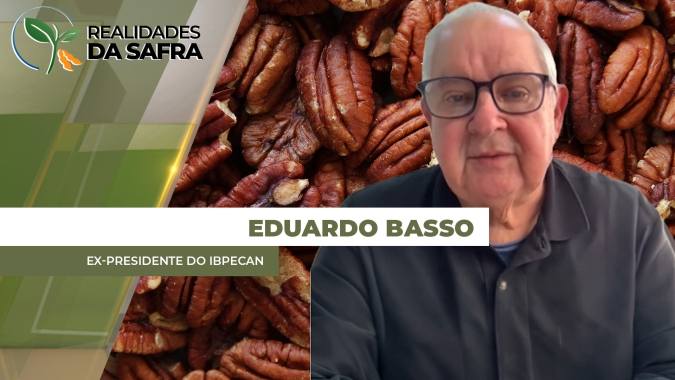 Safra brasileira de pecã se recompõe e pode alcançar 8 mil t, quase o dobro da anterior