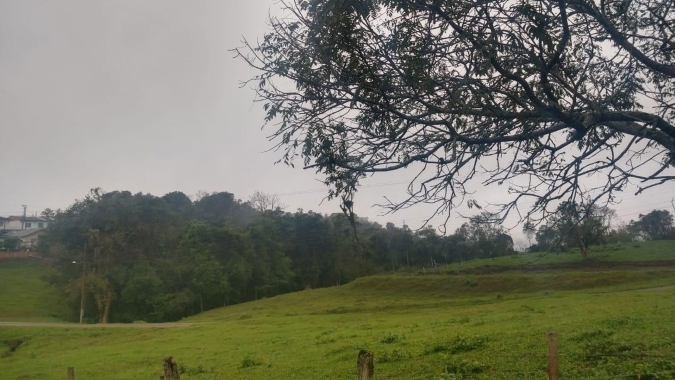 Chuvas dão segurança ao plantio no PR. Porém Inmet alerta que regularidade e boa distribuição só na 2ª semana de outubro
