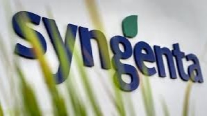 Syngenta adota estratégia de transparência dos sentimentos para fortalecer conexão entre lideranças e buscar a alta performance