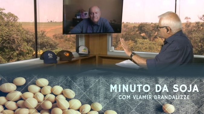 USDA divulga relatório "finalmente em linha com o mercado", diz Vlamir Brandalizze