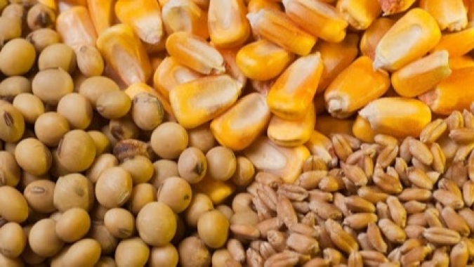 USDA informa novas vendas de soja, milho e trigo para China e mais destinos