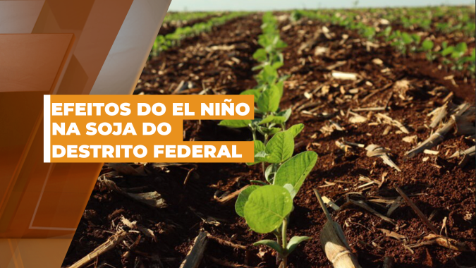 Embrapa traz resultados de estudo sobre efeitos do El Niño para soja do DF