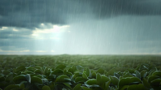 El Niño se fortalece e aumenta os desafios para o agronegócio brasileiro