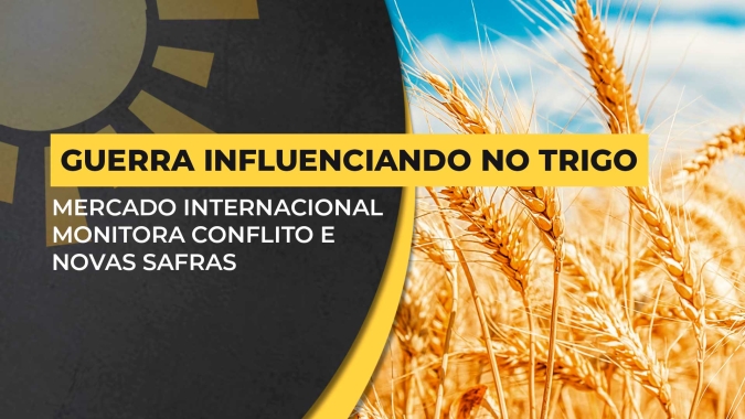 Trigo: Rússia ainda tem altos volumes para exportar e mantém pressão sobre mercado internacional