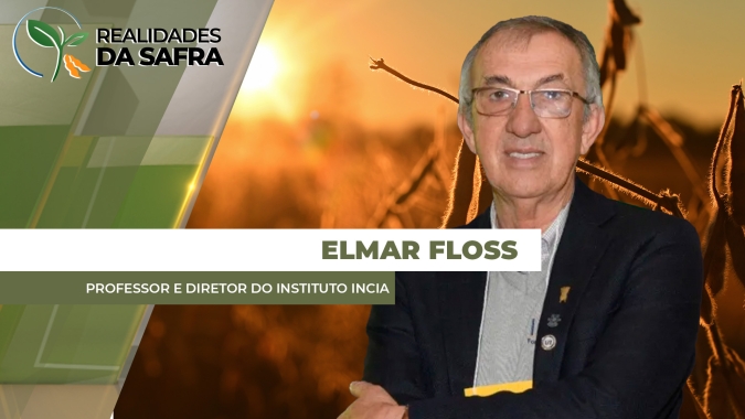 Últimas três semanas tiveram chuvas esparsas e lavouras de soja sofrendo no Rio Grande do Sul