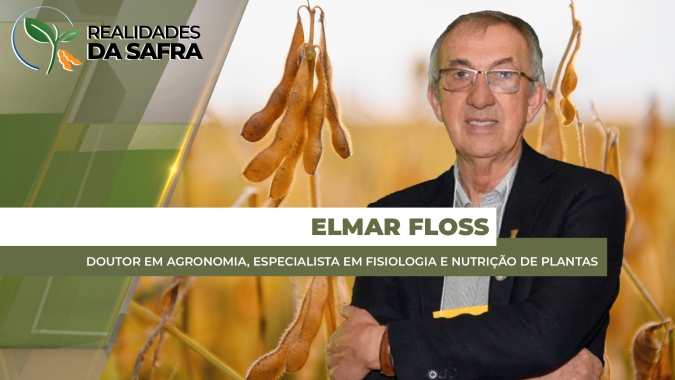 Rio Grande do Sul terá menor produtividade média na soja em todo Brasil