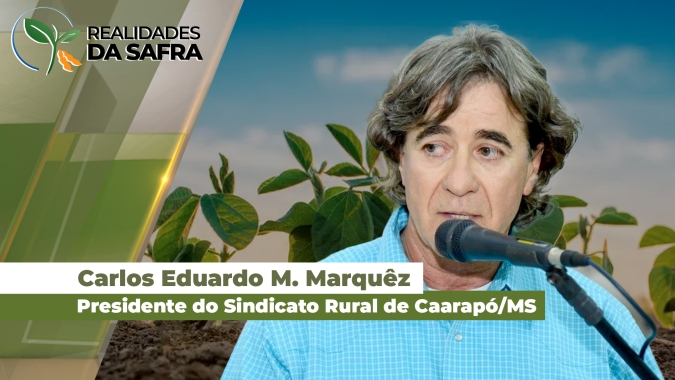 Semeadura da soja em Caarapó (MS)  chega a 30% das áreas, com chuvas contribuindo para os trabalhos