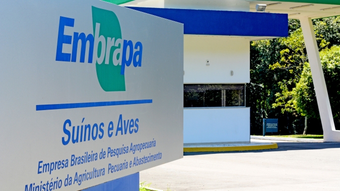 Nova diretora da Embrapa toma posse