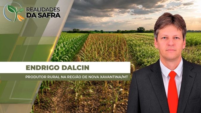 Potencial produtivo de milho, sorgo e gergelim foi comprometido pelo atraso da safra em Nova Xavantina/MT