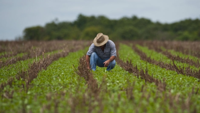 O papel do engenheiro agrônomo na realidade contemporânea, por Décio Luiz Gazzoni e Antônio Márcio Buainain
