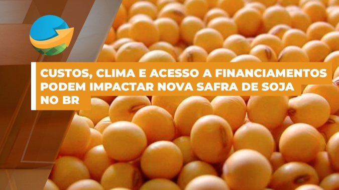 Financiamento caro, alta nos custos de produção e baixa nos preços das commodities podem afetar safra de soja no BR, diz presidente da Aprosoja MT
