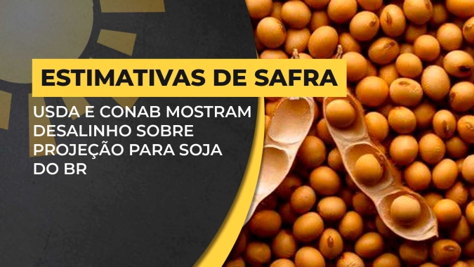 Preços da soja não devem reagir tão cedo, apesar da quebra de safra 23/24, afirma Dr. Fava Neves