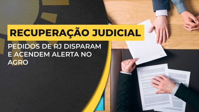 Recuperação Judicial: Não se pode nem banalizar e nem marginalizar a ferramenta, alerta advogado