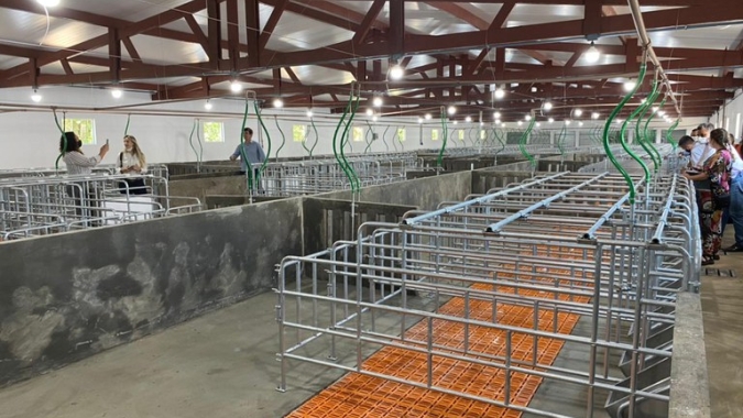 Estação Quarentenária de Cananéia dobra capacidade para receber suínos