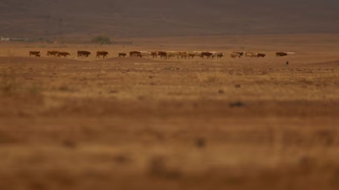 Agricultores do norte do México lutam contra a seca em meio a disputa pela água com os EUA