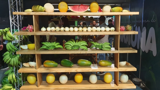 Melão, Melancia, Mamão e Manga: os 4 Ms que alavancaram a fruticultura do Rio Grande do Norte
