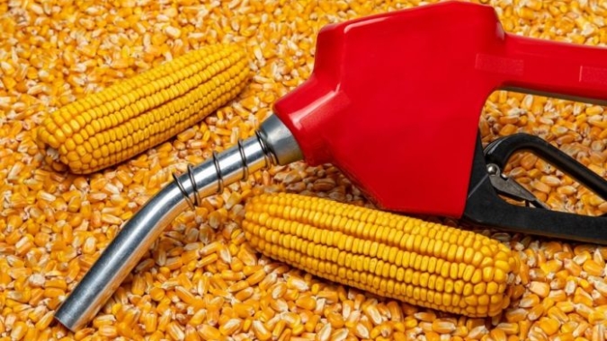 Imea estima indústria do etanol consumindo mais milho no Mato Grosso em 23/24