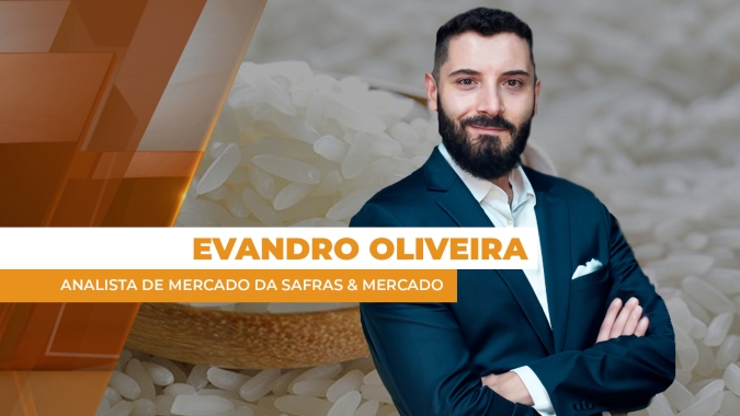 Atraso na semeadura do arroz no Brasil traz mais instabilidade ao setor