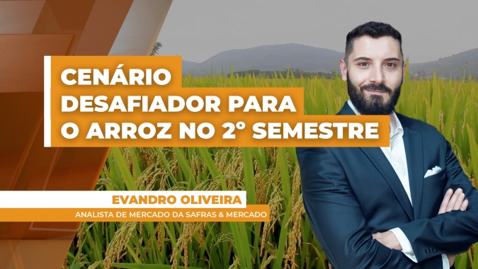 Produtores brasileiros de arroz devem aproveitar para negocial cereal neste primeiro semestre