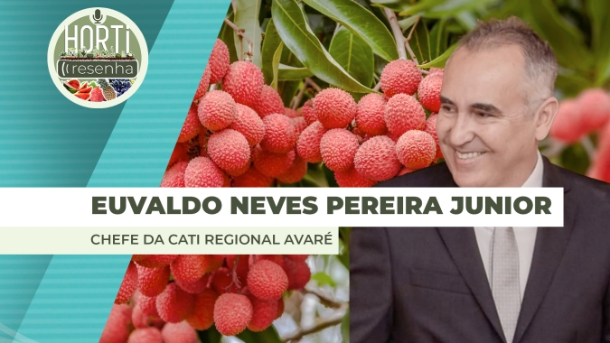 HORTI RESENHA #144 - Métodos de conservação e variedades tardias abrem novos mercados para a lichia
