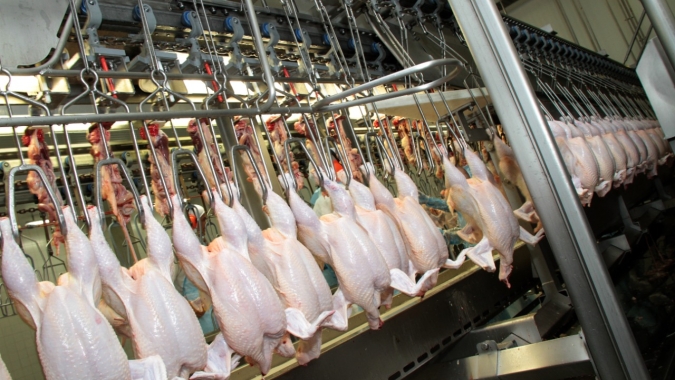 Frango: Média diária exportada avança 57,1% na segunda semana de dezembro/23