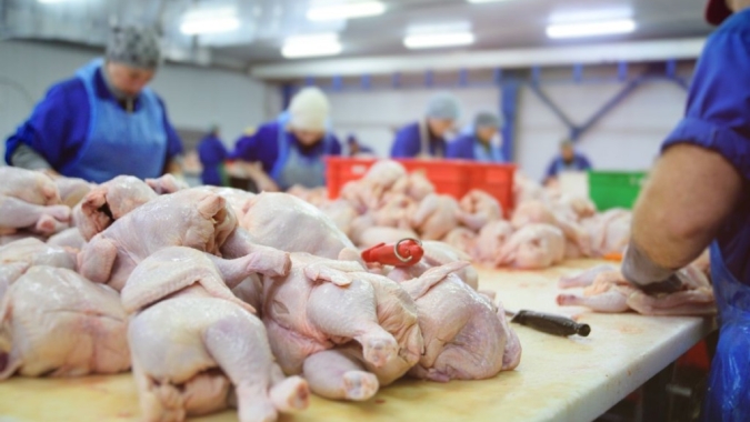 Brasil amplia mercados na África com abertura para proteína animal na Etiópia