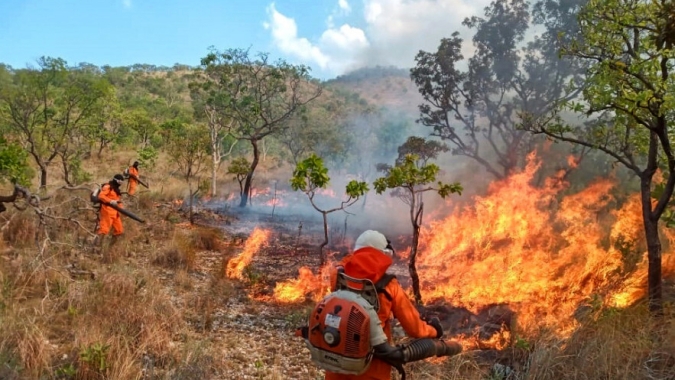Tocantins registra queda de 28,7% na área queimada