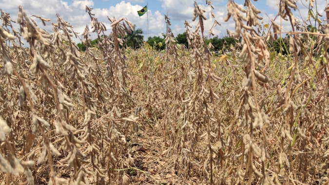 Para CNA, renovação do Convênio ICMS 100 deveria incluir todos os insumos agropecuários