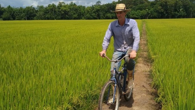 Reforma das taipas do arroz melhoram produtividade e eficiência no uso de recursos