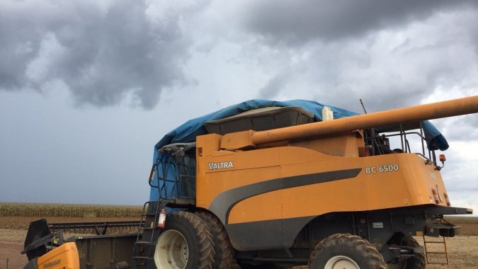 Chuva atrasa colheita do milho e afeta desenvolvimento do trigo no Paraná