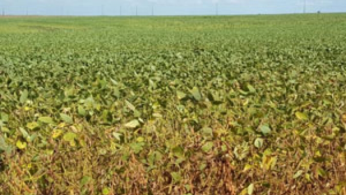 Falta de chuvas: Secretaria de Agricultura de SP avança em medidas de apoio ao produtor rural no enfrentamento da estiagem