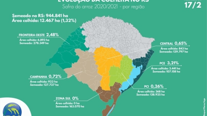 Primeira apuração do Irga aponta para 12 mil ha colhidos no RS