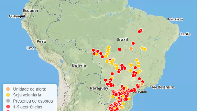 Ferrugem continua avançando pelo país e Consórcio Antiferrugem já registra 162 casos espalhados por 11 estados