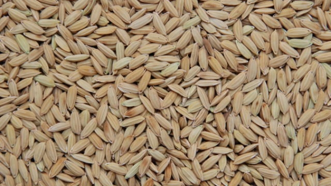 Conab participa de operação de troca de arroz para ajuda humanitária internacional