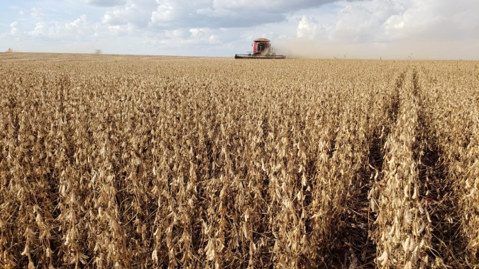 DATAGRO estima safra 2020/21 de soja em 135,68 mi t; consultoria reduz projeção do milho, mas mantém recorde