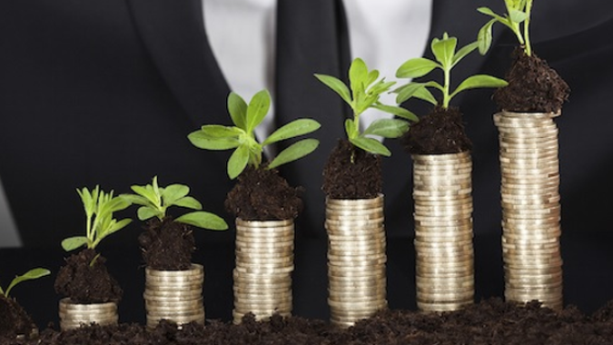 Supersafra e novos mercados exigem mais crédito e investimentos do produtor brasileiro, por Wolney Arruda