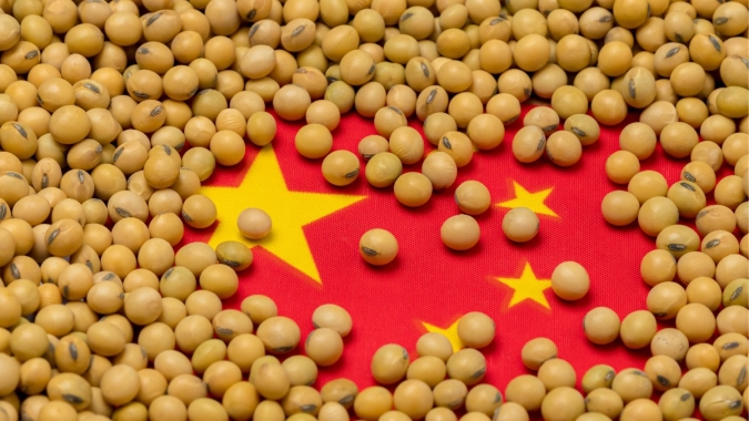 USDA informa nova venda de soja nesta 3ª feira e mercado especula China como comprador