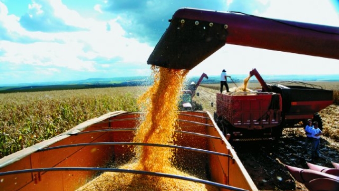Estimativa de agosto prevê queda de 1,0% na safra de 2021, totalizando 251,7 milhões de toneladas