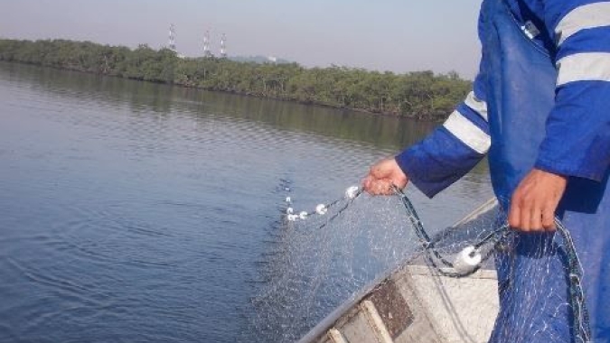 Jordânia tem interesse por peixes brasileiros de todas as espécies