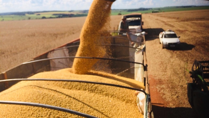 Soja: Patamares de preços melhoram no BR, mas não o suficiente para novos negócios
