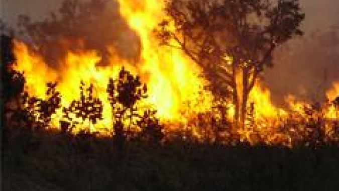 Força-tarefa pede que FMI crie novo fundo para reforçar trabalho em resiliência climática